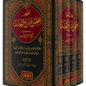 مختصر المجموع شرح المهذب