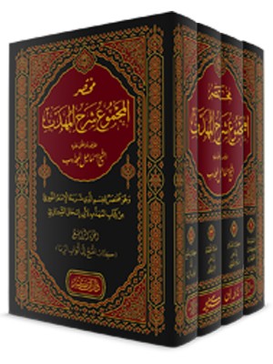 مختصر المجموع شرح المهذب